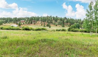 427 Wise Rd, Bailey, CO 80421