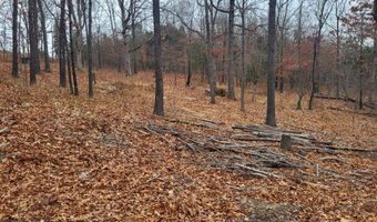 Tbd County Road East 76-211, Ava, MO 65608