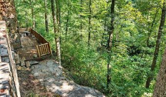 1031 CO RD 4030, Arley, AL 35541