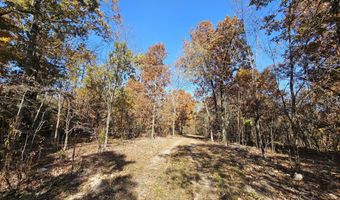 Tract 5 Coble Lane, Anderson, MO 64831