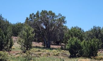 Lot 30 Off Old Hwy 66, Ash Fork, AZ 86320