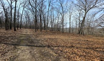 County Road 529, Ava, MO 65608