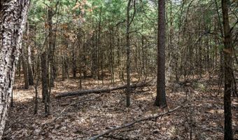 S Badger Lane lot 39, Arkdale, WI 54613