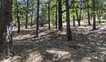 720 Terrace St, Ashland, OR 97520