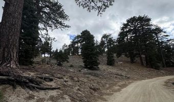 636 Mountain Center 35-0002, Mountain Center, CA 92561