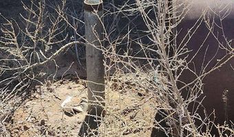 40 Acres, Bosque, NM 87006