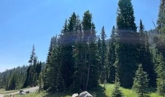28 LOW DOG Rd, Big Sky, MT 59716