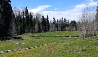 4558 Middle Mountain Rd, Bayfield, CO 81122
