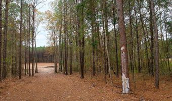 00002 Trickhambridge Rd, Brandon, MS 39042