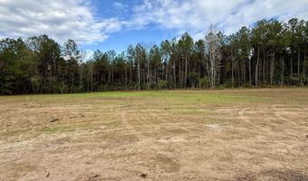 2033 Ceasar Trl, Bogue Chitto, MS 39629