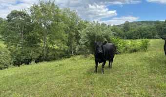 14105 LEE Hwy, Amissville, VA 20106
