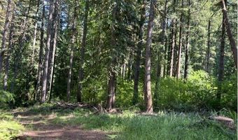 Tunnel Tract Parcel3, Banks, OR 97106