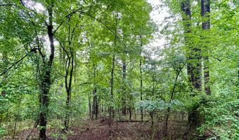 CARSONS WAY, Amissville, VA 20106
