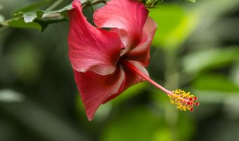 245 N HONOKALA Rd A, Haiku, HI 96708