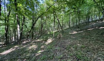 Parcel 8 N Bunner Ridge Road, Fairmont, WV 26554