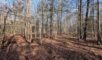 South Road, Addison, NY 14801