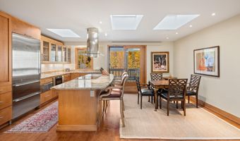 1020 E Hopkins Ave 9, Aspen, CO 81611