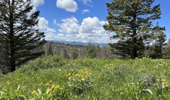 DEER HAVEN 40 AC Road, Bondurant, WY 82922