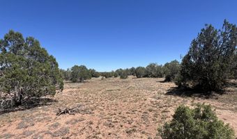 202 Cooks Trl, Ash Fork, AZ 86320