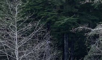 Groveland Ave unit 1-4 1-4, Aberdeen, WA 98520