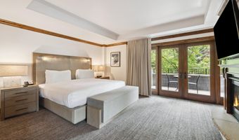 415 E Dean St Unit 11 Week 5, Aspen, CO 81611