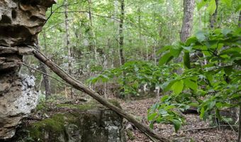 Whiskey Creek Lane, Batesville, AR 72501