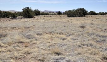 58 Antelope Ave, Concho, AZ 85924