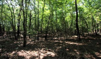 000 Sorrell Rd, Benton, AR 72015