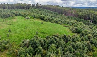 62- Acres Grandmas Hill Rd, Amherst, VA 24521