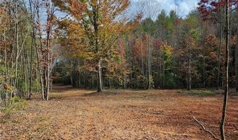 125 Ahart Ridge Rd 163, Ararat, VA 24053