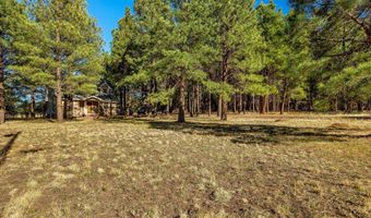 24 County Road 2065, Alpine, AZ 85920