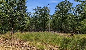 0001 Rattan Trl, Antlers, OK 74523