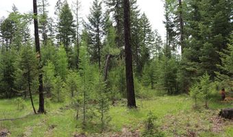 Lot 1a Meadow Springs, Fortine, MT 59918