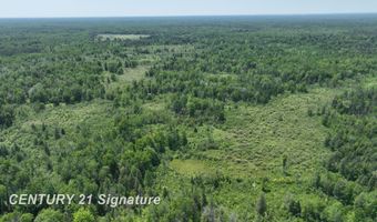 6002 Wildwood, Alger, MI 48610