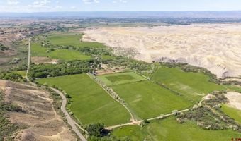 10341 Tongue Creek Rd, Austin, CO 81410