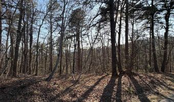OLD STONY RIDGE RD lot 7, Afton, VA 22920