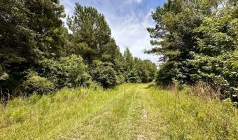 0 Antioch Church Rd, Ashford, AL 36312