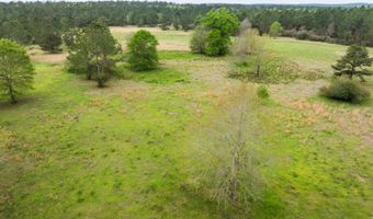 91801 U. S. Highway 98, Beaumont, MS 39423