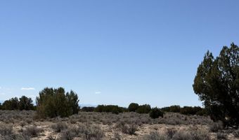 TBD 205-70-002, Chambers, AZ 86502