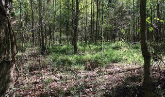 6 95 Acres 7th St, Ardmore, AL 35739