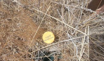 APN 008-090-06, Imlay, NV 89418