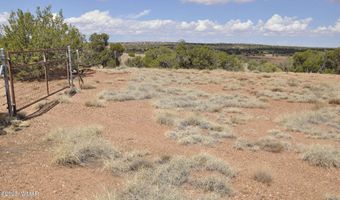 138 Jeff Lake Rd (CR N9230), Concho, AZ 85924