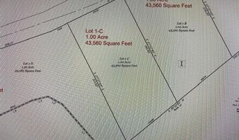 Lot 1-C Daniels Lane, Bennettsville, SC 29512