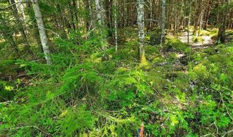 Spruce Mountain Lake, Beddington, ME 04622