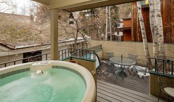 333 W Hopkins Ave, Aspen, CO 81611