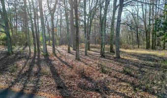 365 Skinner Rd, Austin, AR 72007