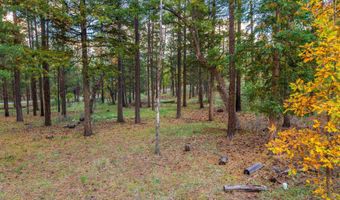 COUNTY ROAD 2196, Alpine, AZ 85920