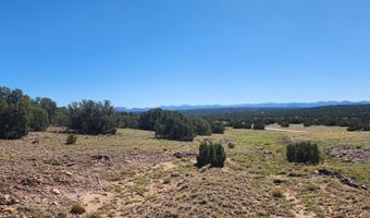 85 N 8522, Concho, AZ 85924