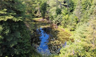 859 Whitehill Rd, Barnet, VT 05821