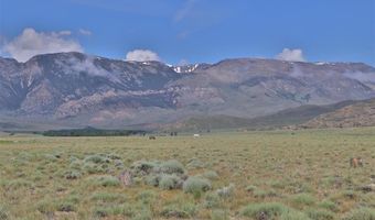 142 Tolman Rd, Clark, WY 82435